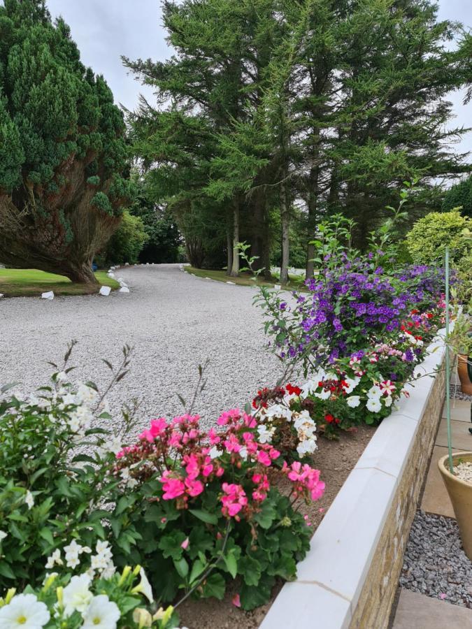 Balcary Bay Country House Hotel Auchencairn Dış mekan fotoğraf
