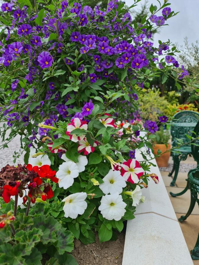 Balcary Bay Country House Hotel Auchencairn Dış mekan fotoğraf
